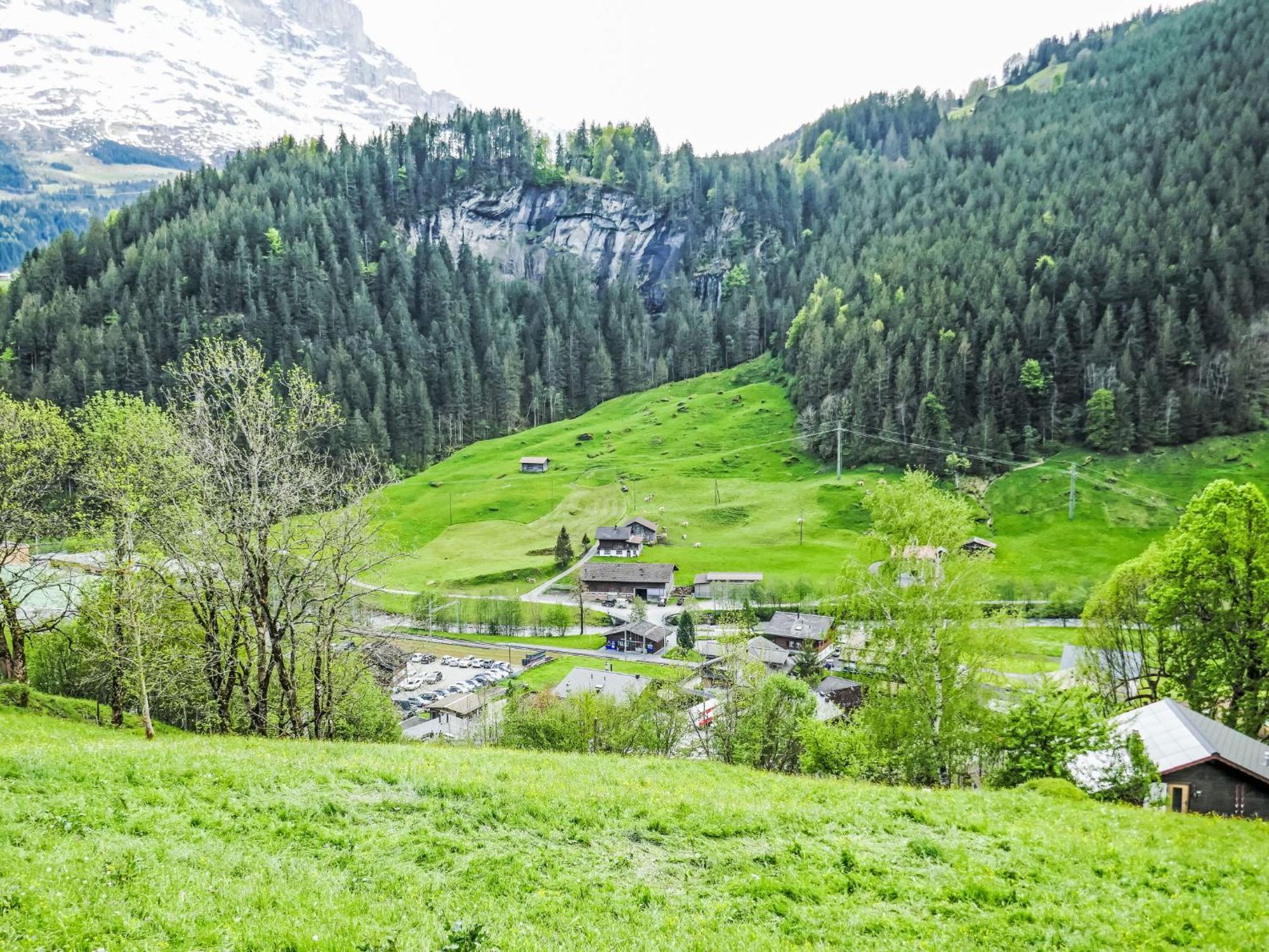 Apartment Chalet Auf Dem Vogelstein-1 By Interhome Grindelwald Zewnętrze zdjęcie